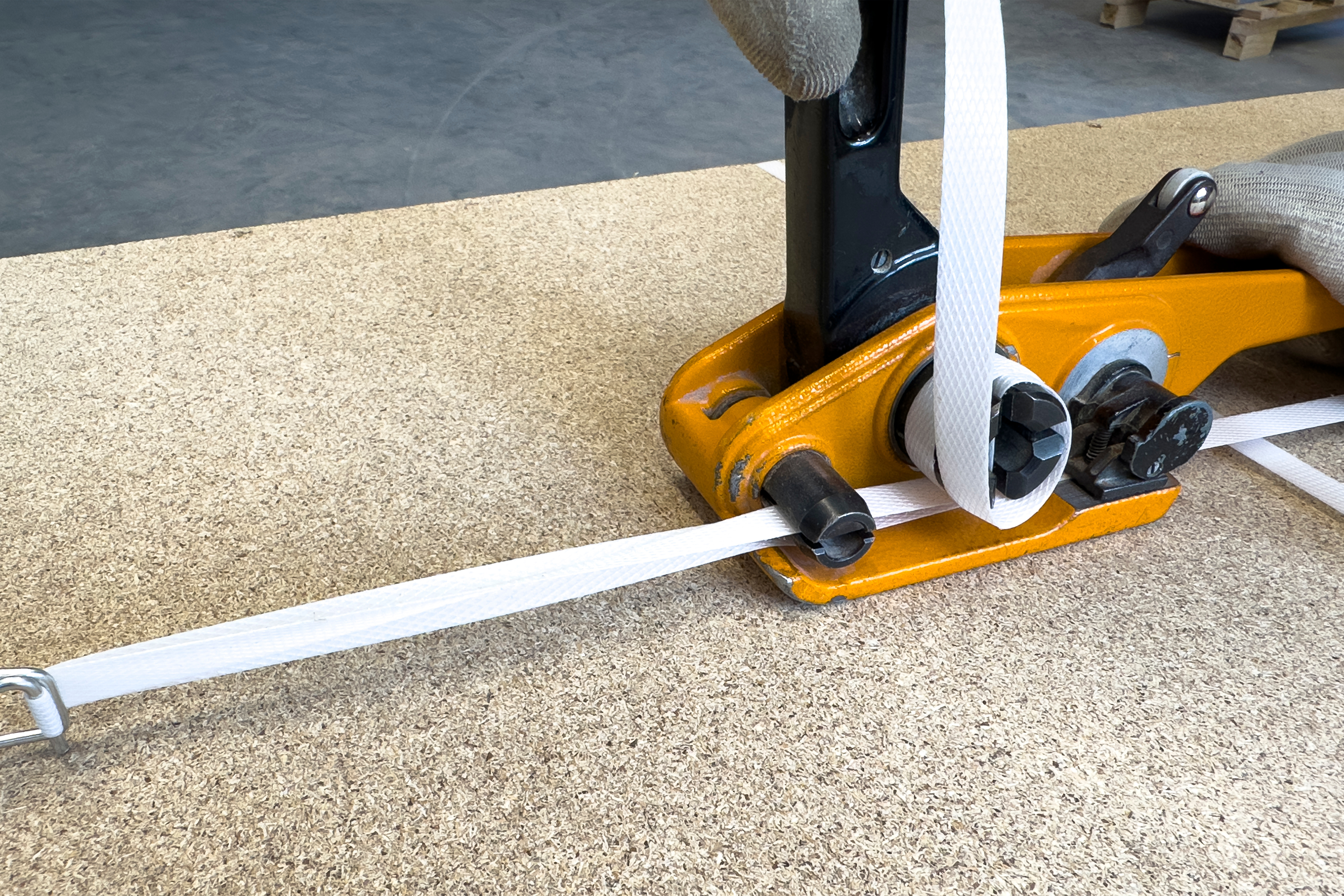 AdobeStock_805388664